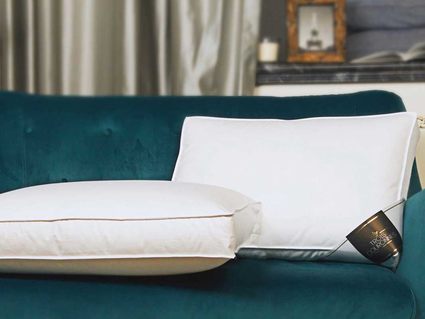 Подушка Trois Couronnes Lotus Lux Normal 386