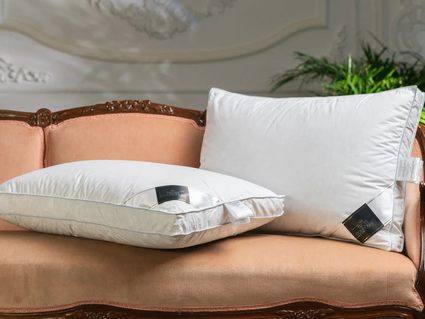 Подушка Trois Couronnes Royal Wild Duck Down PLUS 386