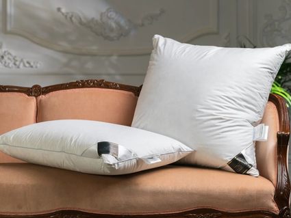 Подушка Trois Couronnes Royal Wild Duck Down Soft 386