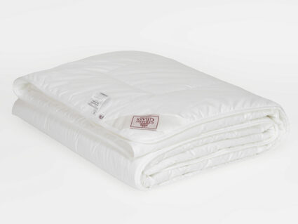 Одеяло German Grass Premium Familie Non-Allergenic легкое 200х200