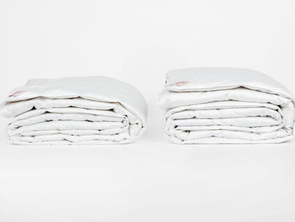 Одеяло German Grass Silver Down Grass всесезонное Light 150х200