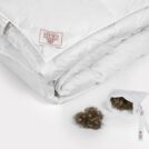 Одеяло German Grass EXCLUSIVE COTTON EIDER DOWN всесезонное 240х260