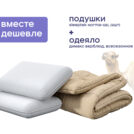 Одеяло Димакс Верблюд всесезонное + 2 подушки Sleeptek Norma-GEL 200х220